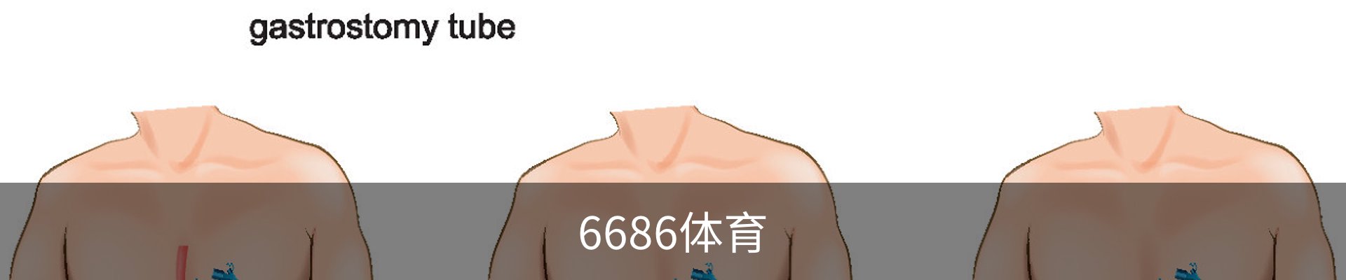 6686体育-6686体育(中国)官方网站-6686SPORTS